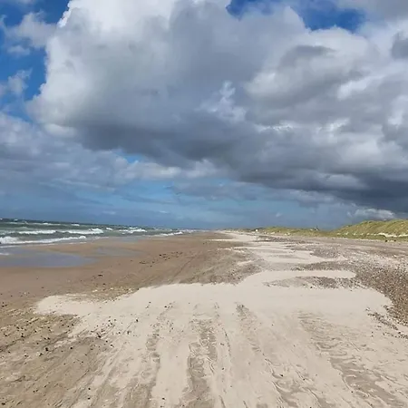 6 Person In * 브로우스트